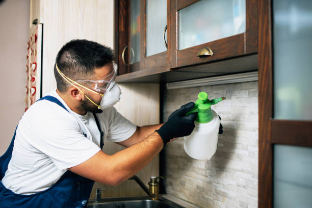 Best Emergency Pest Control  in Morton, TX
