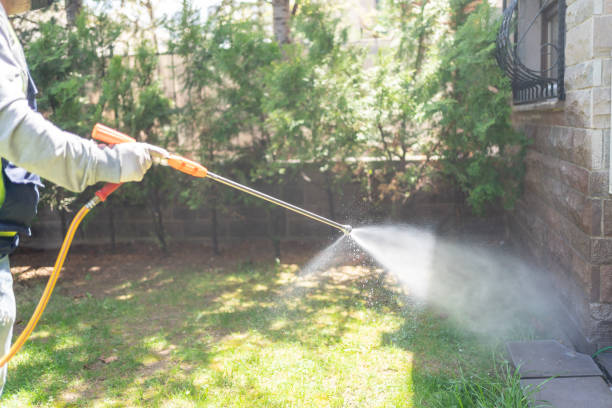 Best Pest Control Near Me in Morton, TX