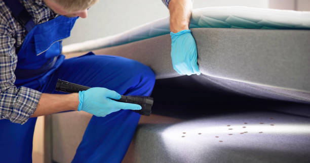 Best Best Pest Control Companies  in Morton, TX